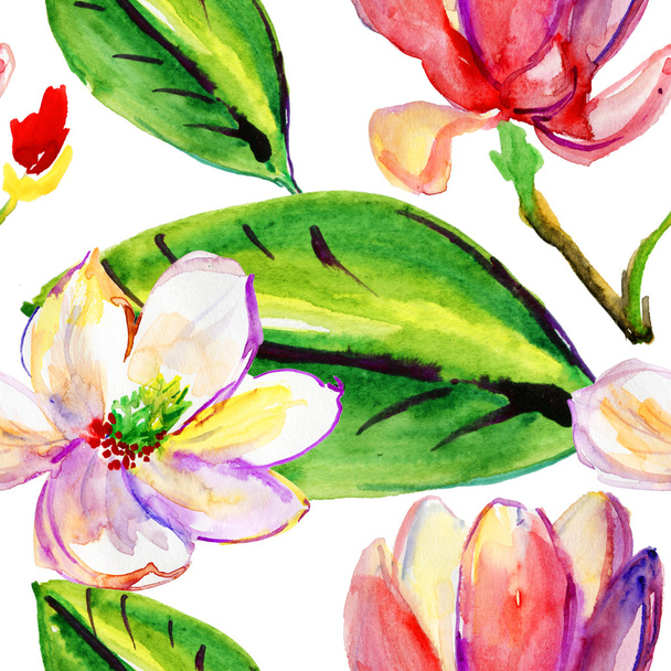 Magnolia, akwarela ilustracja - Zdjęcie, obraz