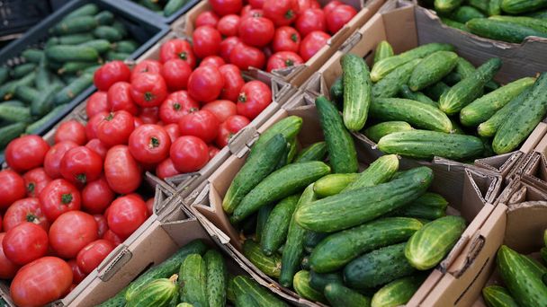 Pepinos de verduras frescas, tomates para la venta en el mercado de los agricultores. alimentos saludables almacenados
 . - Foto, Imagen