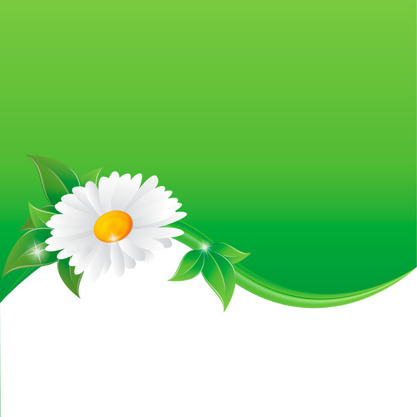 Vector illustration of chamomile flower - Vector, Imagen