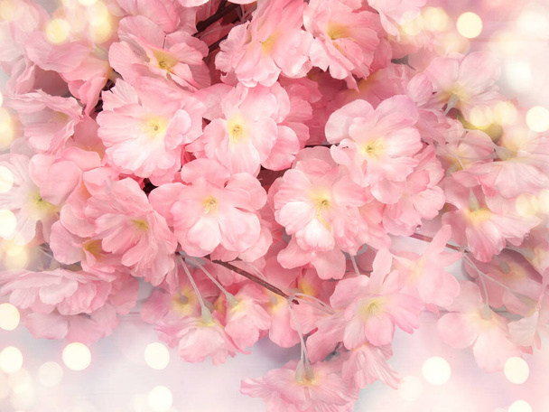 printemps arrière-plan floraison sakura fleurs de cerisier fleur nature florale et abstraite bokeh
                     - Photo, image
