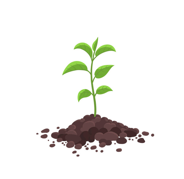 Germe germination des pousses de semis dans le sol de saleté pile. Jeune arbre poussant dans le sol. Printemps des plantes agricoles. Vecteur. - Vecteur, image
