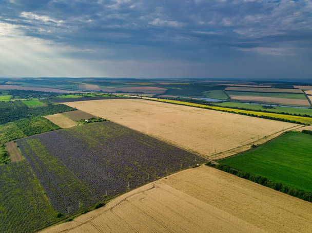 Vue aérienne d'un paysage avec champ de lavande et de blé
 - Photo, image