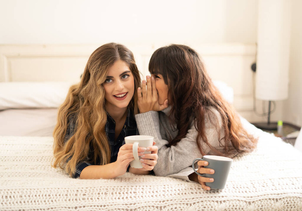 COVID-19 lockdown. Confident and optimistic women best girlfriends talking and laughing in bed with hot drink staying together at home in isolation. Stay home stay safe health and safety campaign. - Fotoğraf, Görsel