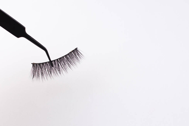 False lashes, isolated on white background,copy space - Fotoğraf, Görsel