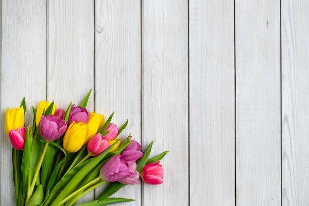 Holiday spring background. Colorful tulip flowers on white wooden backdrop.  Greeting card with copy space for Valentine's Day, Woman's Day and Mother's Day. Top view. - Fotoğraf, Görsel