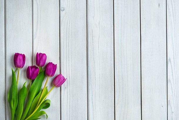 Holiday spring background. Colorful tulip flowers on white wooden backdrop.  Greeting card with copy space for Valentine's Day, Woman's Day and Mother's Day. Top view. - Foto, Imagem