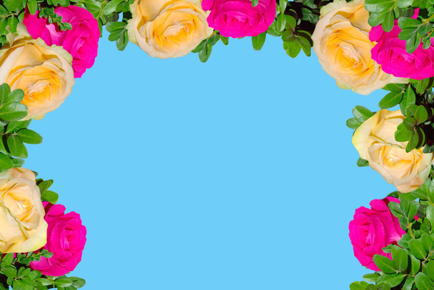 πλαίσιο με λεπτή κίτρινα και ροζ τριαντάφυλλα σε μπλε φόντο. - Φωτογραφία, εικόνα