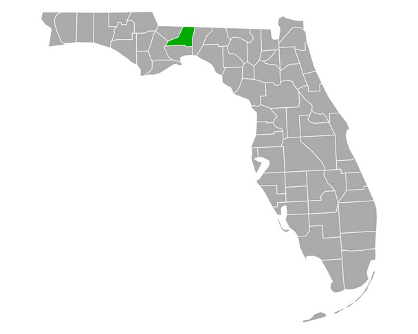 Leon térképe Floridában - Vektor, kép