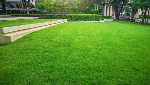 Smooth and fresh green grass lawn as a carpet in garden backyard, good care maintenance landscapes decorated with flowering plant on grey concrete container, shurb and bush under shading of the trees - Photo, Image