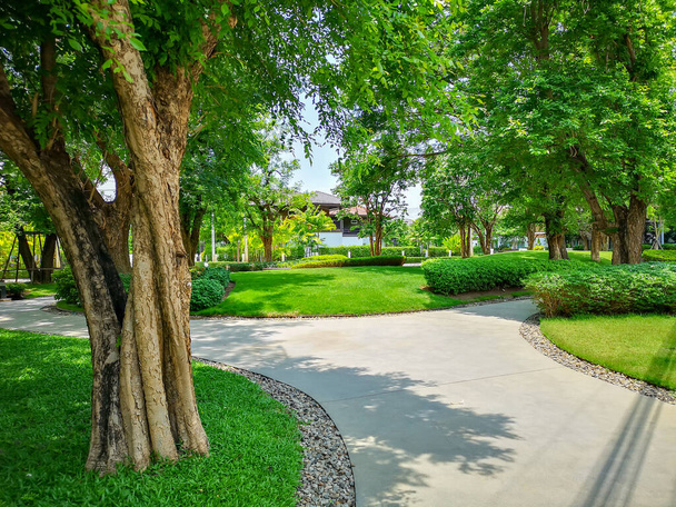 Smooth green grass lawn, greenery trees and shrub in a good maintenance landscape and garden, gray curve pattern walkway, sand washed finishing on concrete paving, brown gravel border - Photo, Image