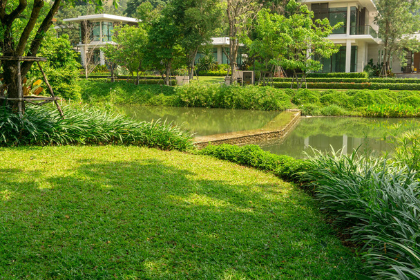 Herbe verte fraîche pelouse lisse comme un tapis avec forme courbe de buisson au bord d'un lac, arbres sur le fond, bons paysages d'entretien dans un jardin sous l'ombre et la lumière du soleil matin
 - Photo, image