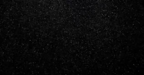Přirozený bílý zimní sníh na černém pozadí videa - Záběry, video