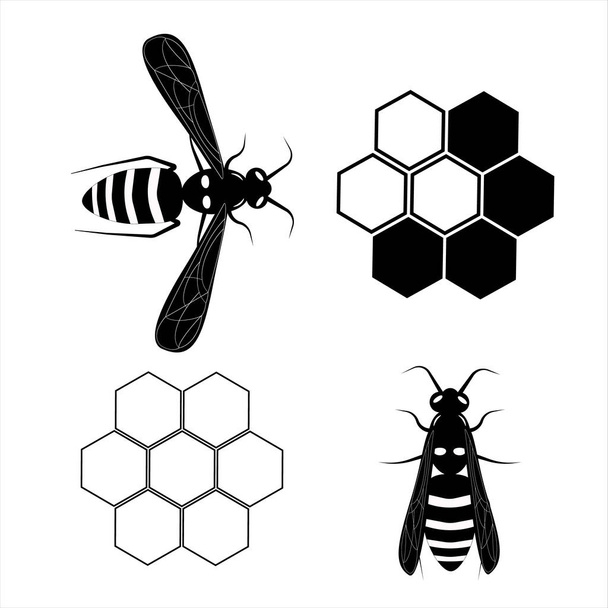 Flying wasp. Honey bee. Botany illustration. Insect animal, exotic. Vector isolated on white backdrop. Honeycomb. - Вектор,изображение