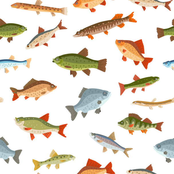 Seamless freshwater fish pattern. A vector seafood - Vector, Image