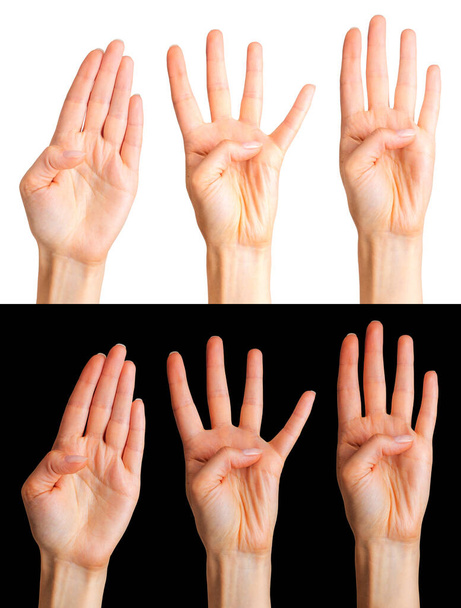Zestaw rąk kobiety pokazano cztery palce i dłoni na czarnym tle. Izolowane ze ścieżką przycinającą. - Zdjęcie, obraz