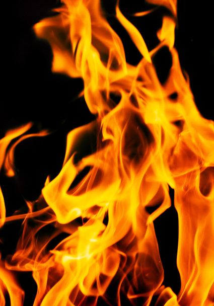 Fire flames on a black background - Foto, Imagem