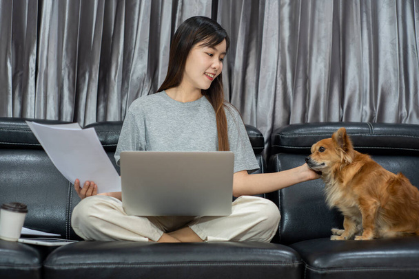 横になっている間家から遠く離れて働く美しい若いアジア人女性は面白いアシスタント犬ペットと良好な関係を持っています,ホームワークペットの概念 - 写真・画像