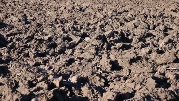 Zimowy materiał filmowy na świeżo uprawianej glebie, duże gruzy świeżej gleby mają bogaty i naturalny wygląd - Materiał filmowy, wideo