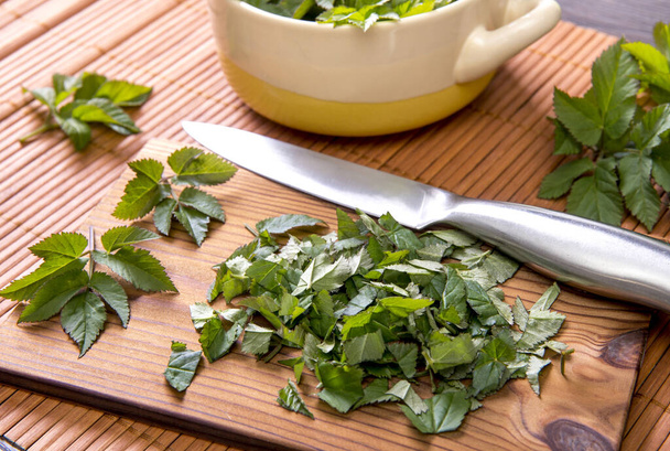 Using fresh young goutweed leaves for food in spring. Aegopodium podagraria commonly called ground elder, herb gerard, bishop's weed, gout wort. Chopped leaves on cutting board, preparations. - Photo, Image