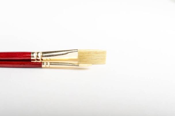 Due pennelli per artisti professionisti visualizzati orizzontalmente isolati su una carta bianca da studio, fotografati con messa a fuoco morbida
 - Foto, immagini