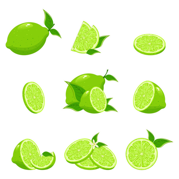 Fresh lime collection - Vector, Image