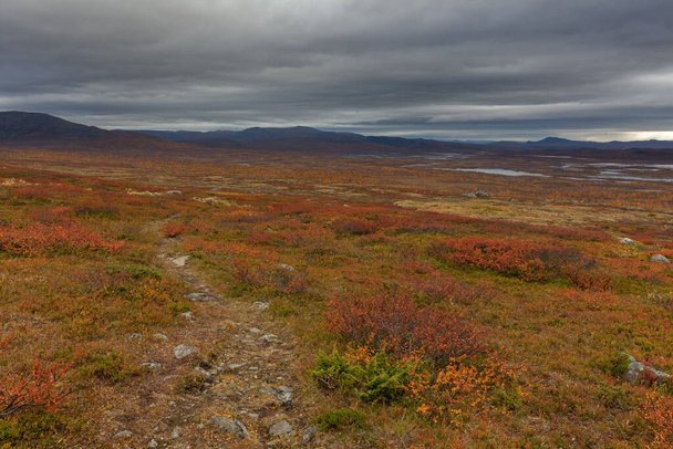 Sarek National Park in Lapland view from the mountain, Sweden, selective focus - Фото, зображення