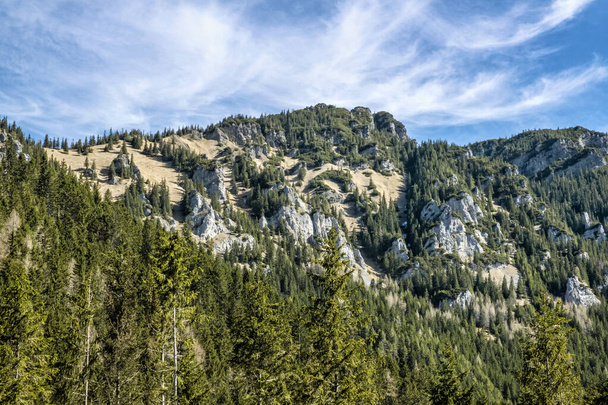 Nemzeti park Alacsony-Tátra hegység, Szlovák Köztársaság. Túrázás téma. Szezonális természeti jelenet. - Fotó, kép