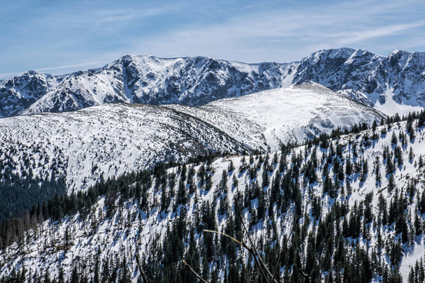 Chaîne de montagnes des basses Tatras, République slovaque. Le thème de la randonnée. Scène naturelle saisonnière. - Photo, image