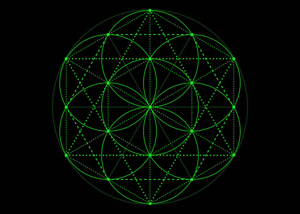 Насіння життя символ Священна геометрія. зелена містична мандала алхімічної езотерики, Квітка Життя. Векторний неоновий ефект яскравого кольору ізольований на чорному фоні
 - Вектор, зображення