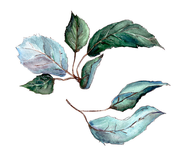 illustration, watercolor, isolated green leaves  - Foto, afbeelding