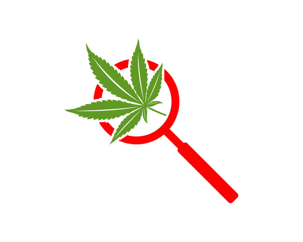 Cannabis Search logo design vector template. Creative Cannabis on white background - Vektori, kuva