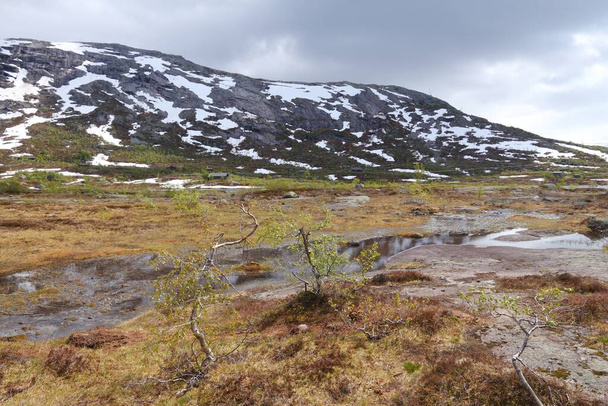 Norway hiking area - swamps and marshlands in Hordaland county, next to Trolltunga trail. - Foto, Imagen
