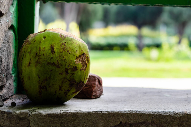 uprostřed záběru vyřazené zelené kokosové skořápky ležící na stěně parku. koncepce odpadu a čistoty - Fotografie, Obrázek