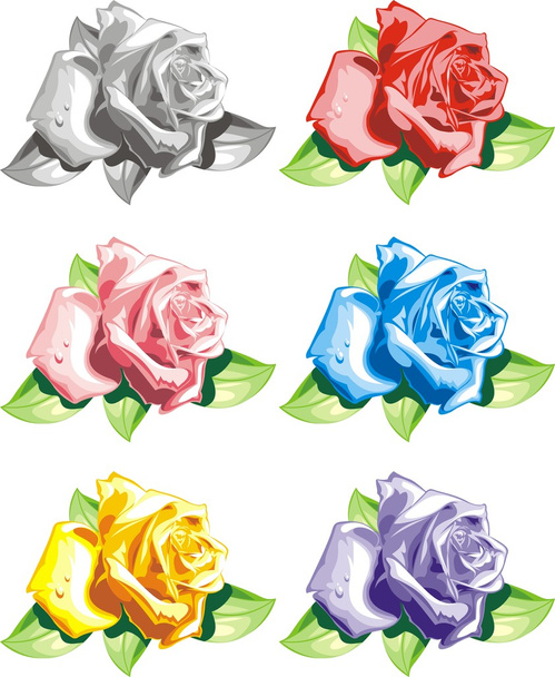 цветные розы на белом фоне
 - Вектор,изображение