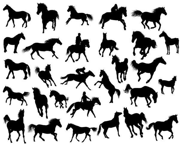 Horses silhouettes - Vector, Image