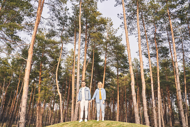 Young Caucasian couple standing among coniferous trees - 写真・画像