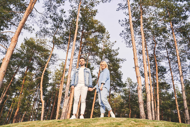 Romantic couple standing in a coniferous forest - Фото, изображение