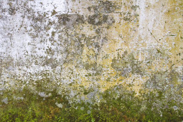 Old wall background or texture  - Photo, Image