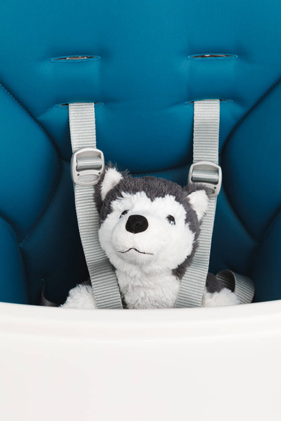 cane giocattolo su seggiolone per neonato
 - Foto, immagini