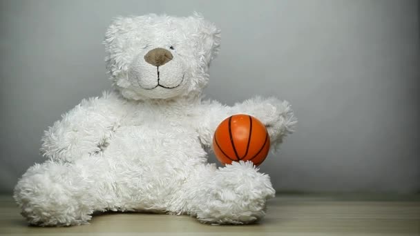 footage of toy bear basketball  - Πλάνα, βίντεο