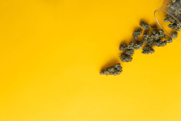 Cannabis buds on yellow background. Top view. CBD and THC on buds in cannabis. Background for Copy space. Fresh marihuana. Hemp legalisation . - Photo, Image
