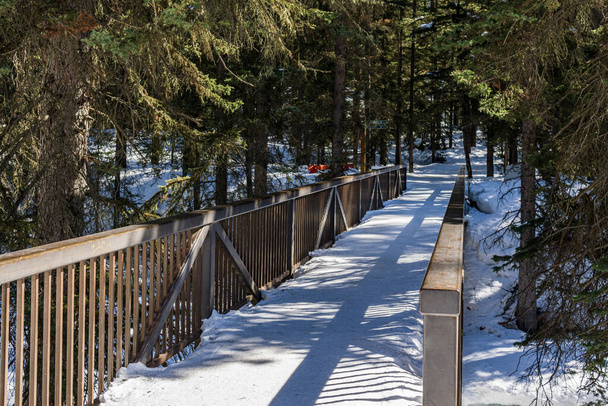 path in the forest winter landscape hiking trail - Fotografie, Obrázek