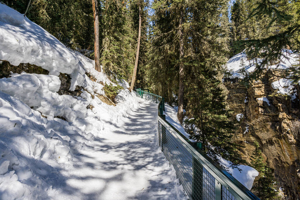 ścieżka w lesie zimowy krajobraz szlak turystyczny - Zdjęcie, obraz