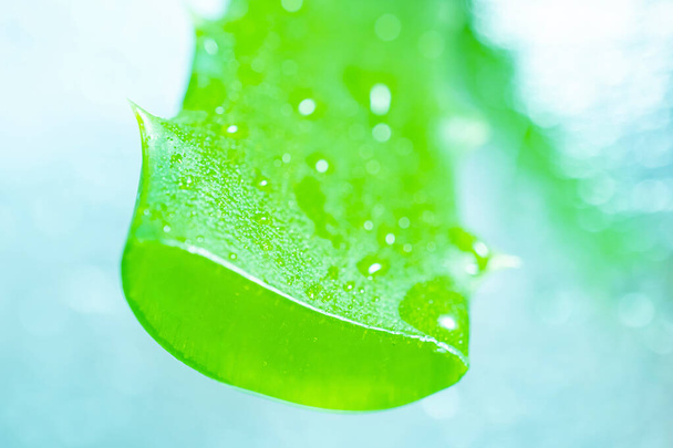 Aloe vera gel σε ένα πράσινο φύλλο από κοντά σε ένα ελαφρύ φόντο. Φροντίδα δέρματος, ιατρική φροντίδα. Φρέσκος χυμός αλόης. Εναλλακτική ιατρική, ενυδατικά καλλυντικά. - Φωτογραφία, εικόνα