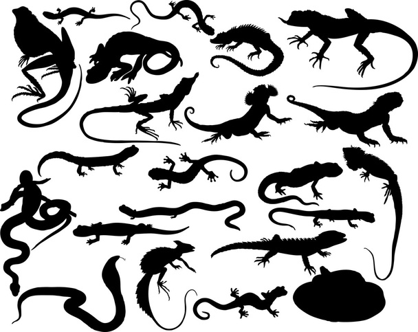 Reptiles vectores
 - Vector, imagen