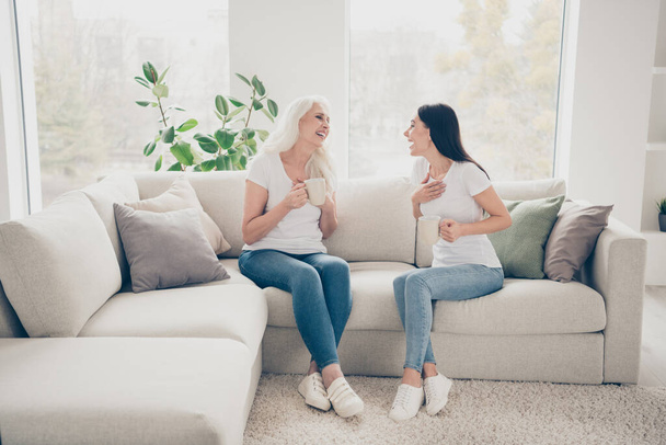 Portrait of two nice attractive lovely charming cheerful cheery women talking laughing sitting on divan daydream spending time holiday weekend vacation in light white interior house flat apartment - 写真・画像