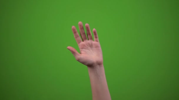 Hand winkt von Seite zu Seite und sagt HI auf grünem Bildschirm - Filmmaterial, Video