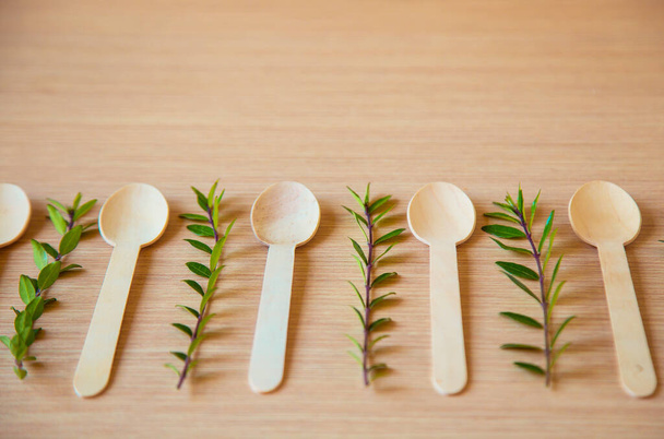 eco-friendly, disposable food items made of light wood - Photo, image