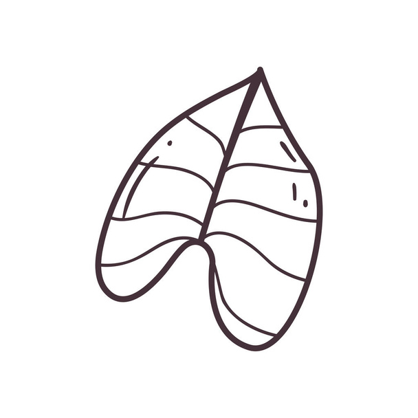 Изолированный стиль листовой линии - Вектор,изображение