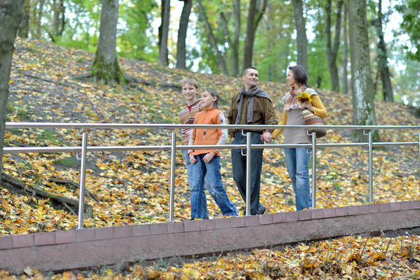 Family of four in park - Foto, Bild